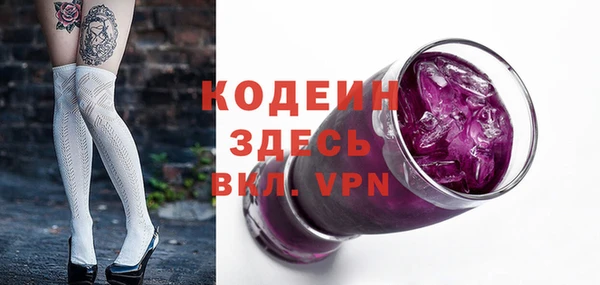 индика Мурманск