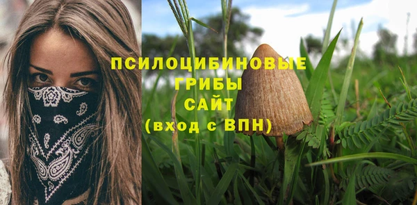 хмурый Алзамай